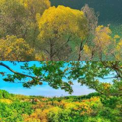 四四席博山老菜馆 User Photo