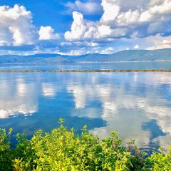 世内桃源·落日海景餐厅(双廊店) User Photo