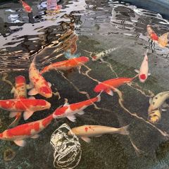 天福闽南文化城(天福服务区) User Photo