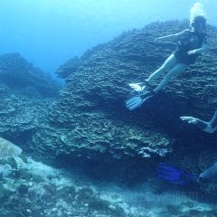 Oleai Beach Bar & Grill User Photo