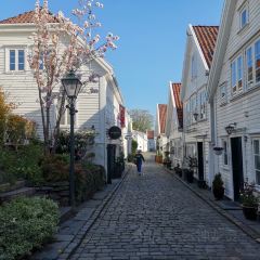 Vinkontoret(Kontoret) User Photo