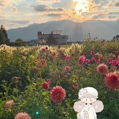 听花谷餐厅 User Photo