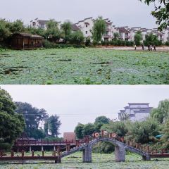 铁牛妈妈的餐厅 User Photo