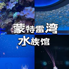 Fish Hopper 여행 사진