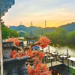 婺州里音樂餐廳張用戶圖片
