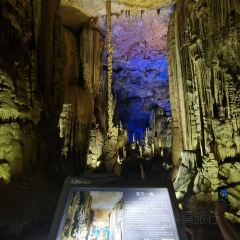 马记发粑 User Photo