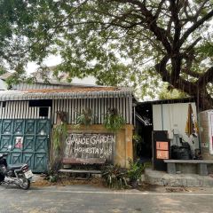 Black Gooseberry Chiangmai User Photo