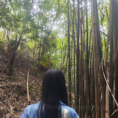 山涧别院 User Photo