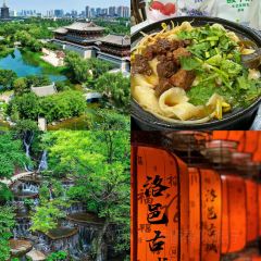 Huashanluxiaowanlvrou Soup User Photo