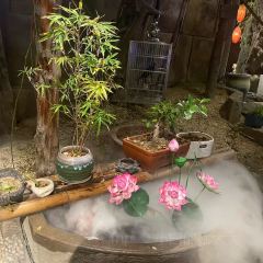 老友汇·半亩方塘 User Photo