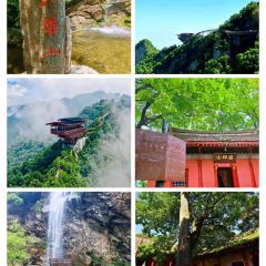 Cai Feng Lou Chinese Restaurant 여행 사진