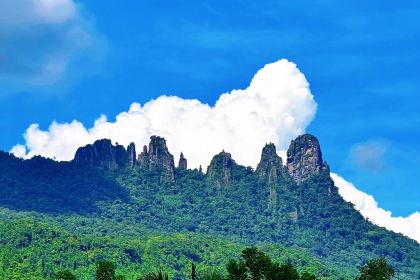 dirty duck Restaurant