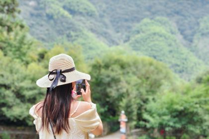 Tonglurendapaidang (yangguang)