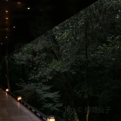 PURPLE MOUNTAIN GARDEN 여행 사진