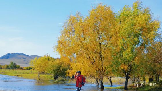 hu lun bei er gen he xi wu qi ya cuo luo zi ying di