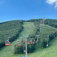 DA WEI ROAST WHOLE LAMB User Photo