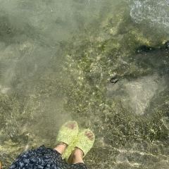 216BeachClub User Photo