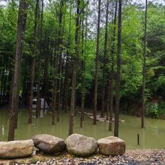 LI DONG NONG ZHUANG User Photo