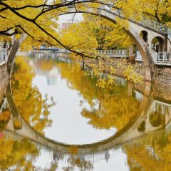 A MUSHROOM User Photo