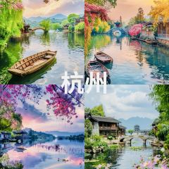 楊記餌塊張用戶圖片