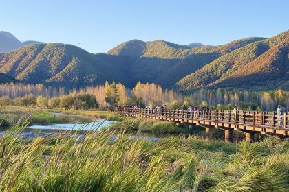 走婚王子蒸汽石锅鱼柴火鸡