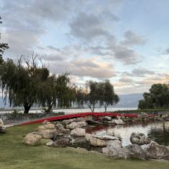 Black Swan Cafe User Photo