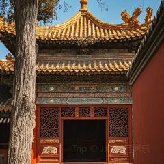 张记逍遥胡辣汤(大坑沿街店) User Photo