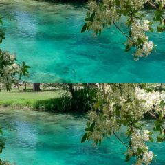 卡万金特色藏餐 User Photo