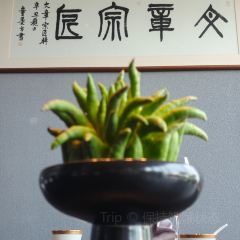 LINJIANGYAN·YUN 여행 사진