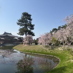 伊藤久右衛門・茶房（JR宇治站前店）張用戶圖片