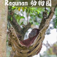 Cafe Batavia 1920 User Photo