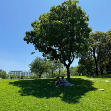 大鍋強·蒸海鮮青島菜（上流滙店）用戶圖片