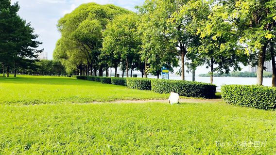 Dalinghe Scenic Area