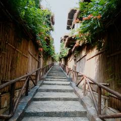 宝华山庄 User Photo
