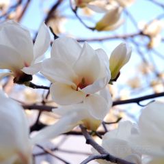 临福山庄 ảnh của người dùng