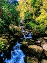 百花嶺生態旅遊区