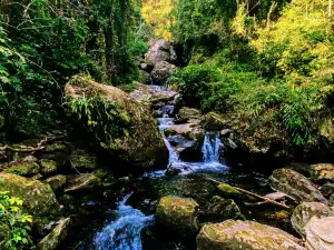 Baihualing Ecology Tourist Zone