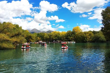 拉萨雪莲花观景酒店·雪莲花观景藏餐厅