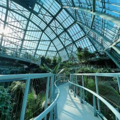 星巴克(華茂店)張用戶圖片