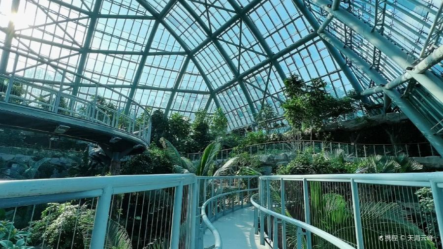 星巴克(華茂店)