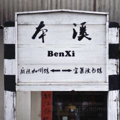 后院 여행 사진
