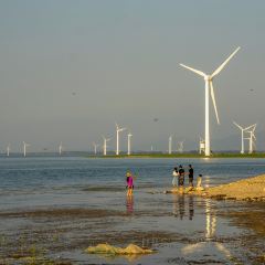 观湖台 User Photo
