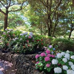 Manor Blanc User Photo