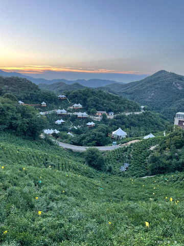 Tea Mountain