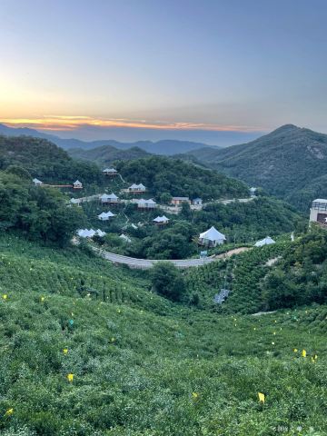 Tea Mountain