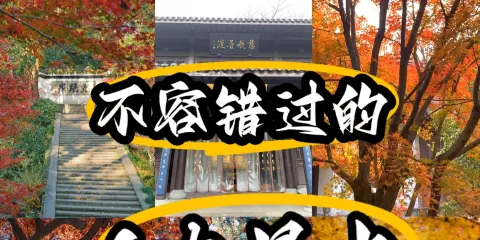 虎跑會館