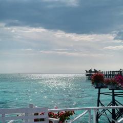 Summer Breeze Cafe張用戶圖片