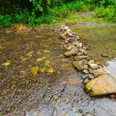 龙湖印象 User Photo