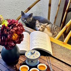 老莊牛雜豬雜張用戶圖片