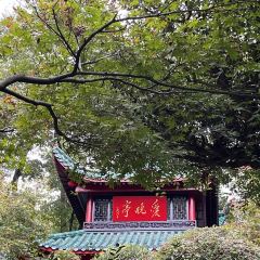 郝大姐·乌龙山特色铁板烧(吉大店) User Photo